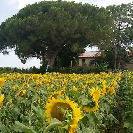 Casa Del Sole 3*