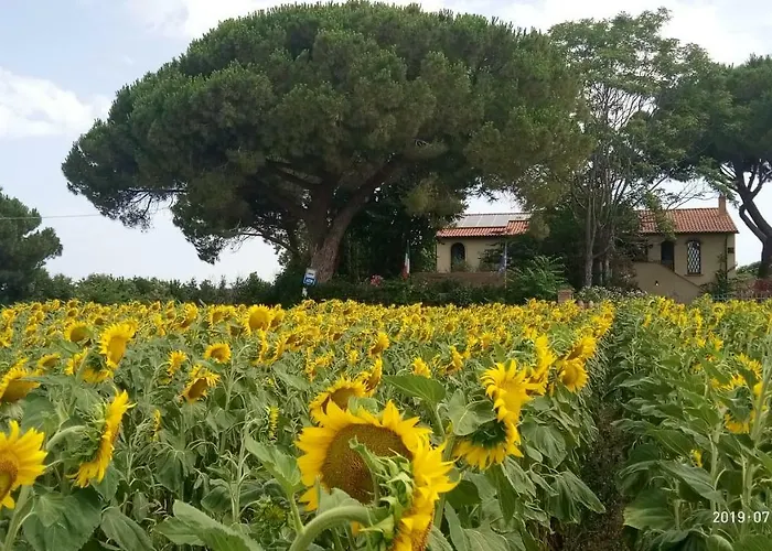 Casa Del Sole 3*